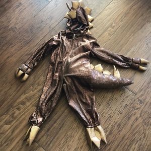 Dinosaur Costume
